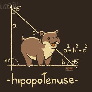 Graphic for Hypotenuse