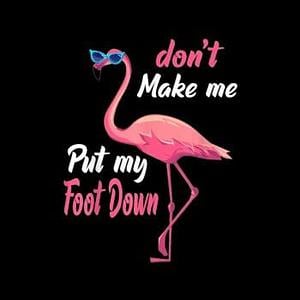 Graphic for Pink Flamingo Don't Make Me Put My Foot Down Hoodie