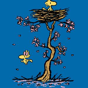 Graphic for Spring Blossoms