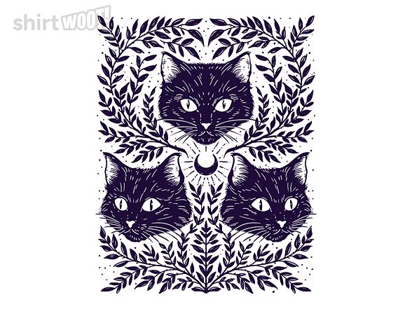 Woot!: Sacred Feline Trio