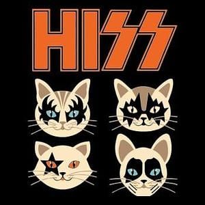 Graphic for Cats Kittens Rock Rockin hoodie