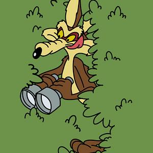 Graphic for Coyote spy