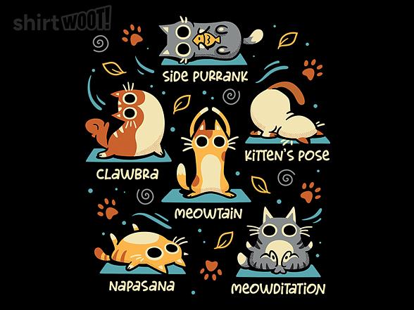 Woot!: Cat Yoga Poses