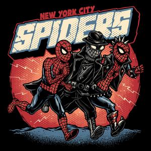 Graphic for New York City Spiders