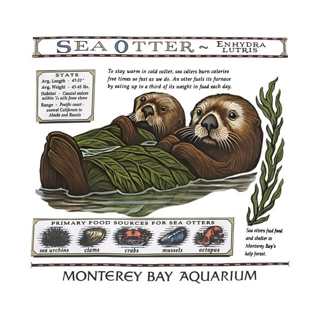 TeePublic: Taylor Swift Sea Otter Monterey Bay Aquarium