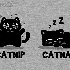 Graphic for Catnip Catnap