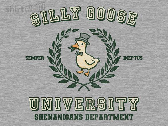 Woot!: Silly Goose University