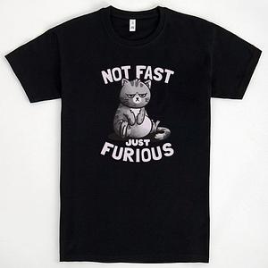 Graphic for Not Fast Just Furious