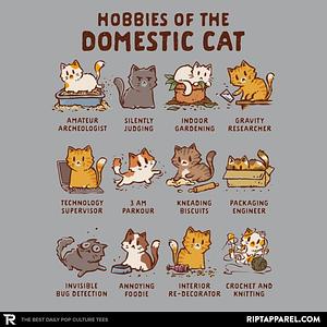 Graphic for Cat Hobbies