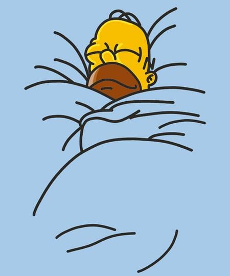 Qwertee: homer bed