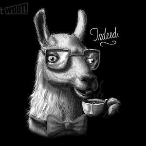Graphic for The Fancy Llama