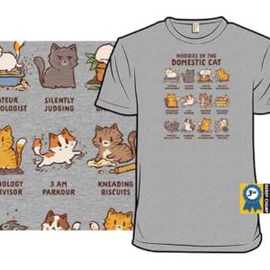 Graphic for Cat Hobbies