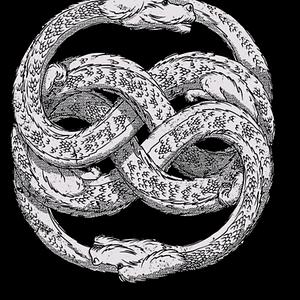 Graphic for The Luck Dragon