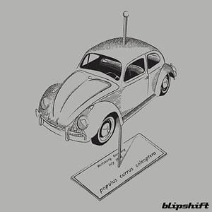 Graphic for Entomology