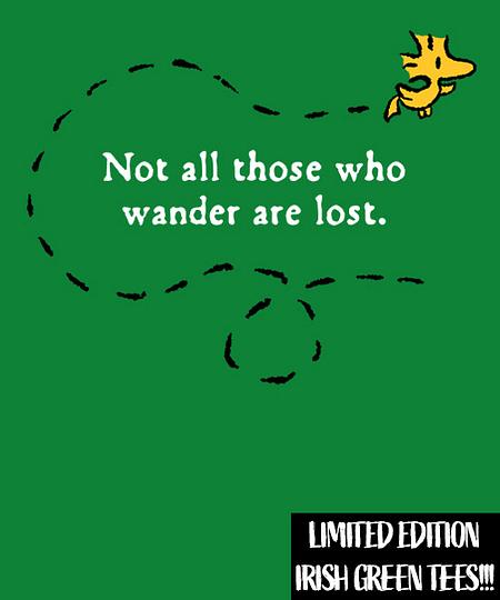 Qwertee: Wandering Bird