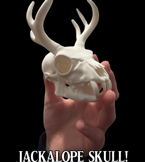 teeVillain: Jackalope Skull