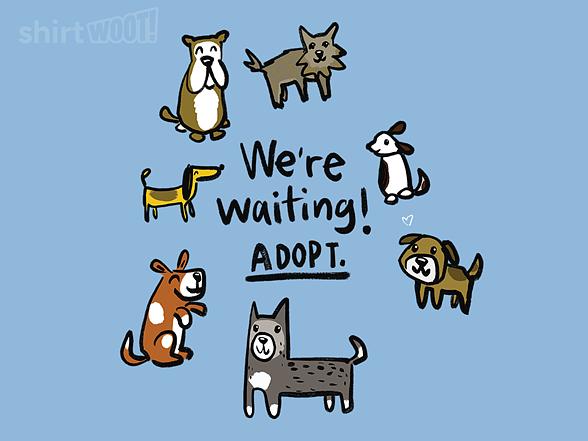 Woot!: Adopt Dogs - They're Waiting!