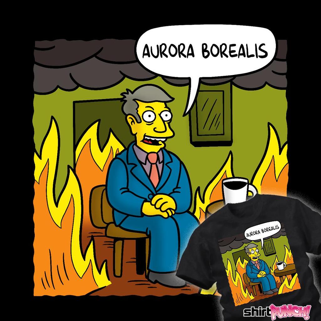 ShirtPunch: This Is Aurora Borealis