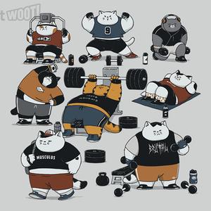 Graphic for Cat Gym