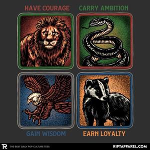 Graphic for Foundations of Wizardry