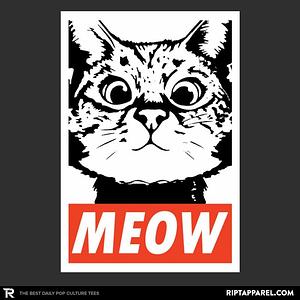 Graphic for Meow Obey