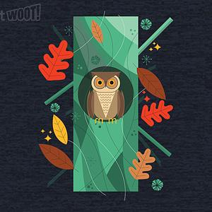 Graphic for Owl In Autumn