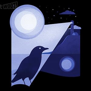 Graphic for Bird Illuminated By The Lighthouse