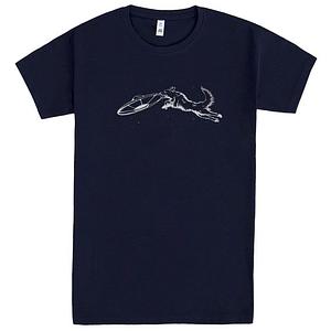 Graphic for Cosmic Fetch