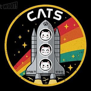 Graphic for CATS - Space Division