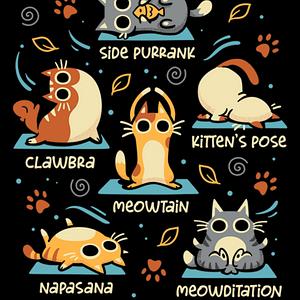 Graphic for Cat Yoga Poses