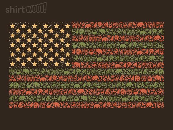Woot!: USA Camping Flag