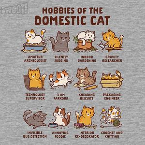 Graphic for Cat Hobbies