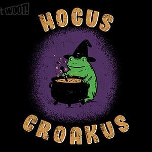 Graphic for Magical Frog