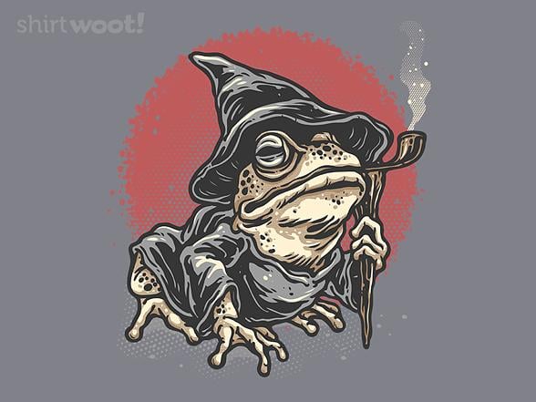 Woot!: The Wizard Frog