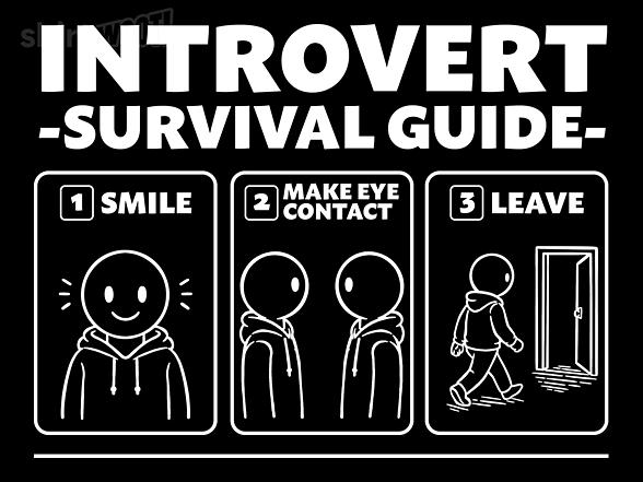 Woot!: Introvert Survival Guide