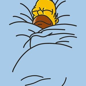 Graphic for homer bed