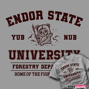 Graphic for Endor University