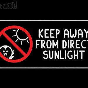 Graphic for Keep Away From Sunlight