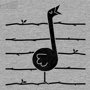 Graphic for Bird Song