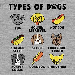 Graphic for Types of Dogs
