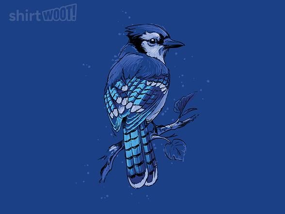 Woot!: Blu J
