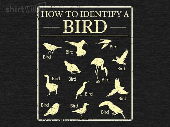 Woot!: How To Identify A Bird