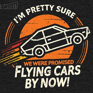 Graphic for Flying Cars By Now