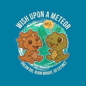 Graphic for Wishing Upon A Meteor