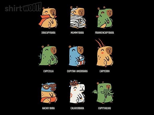 Woot!: Capynormal Activity