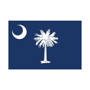 Graphic for South Carolina State Flag