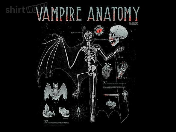 Woot!: Vampire Anatomy