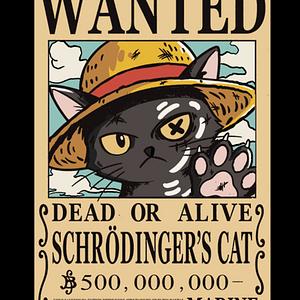 Graphic for Schrödinger cat pirate