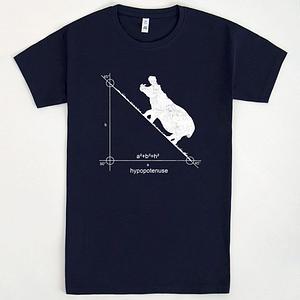 Graphic for Hypopotenuse