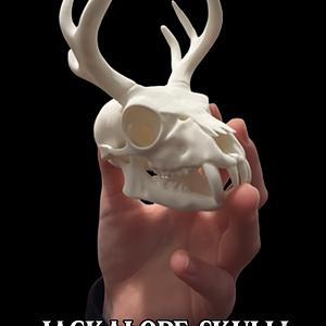 Graphic for Jackalope Skull